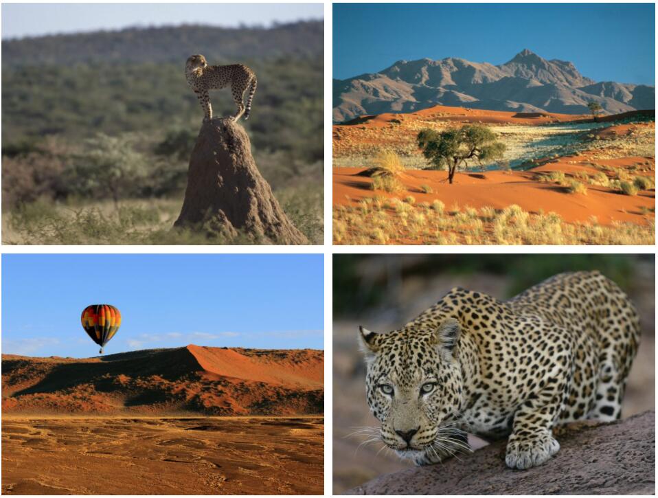 Namibia's Wildlife and Walking 2