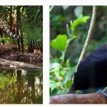 Belize Wildlife and Economy
