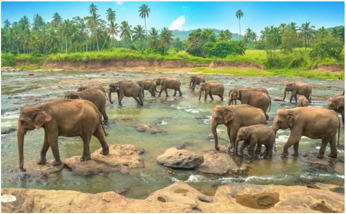 Best Travel Time and Climate for Sri Lanka